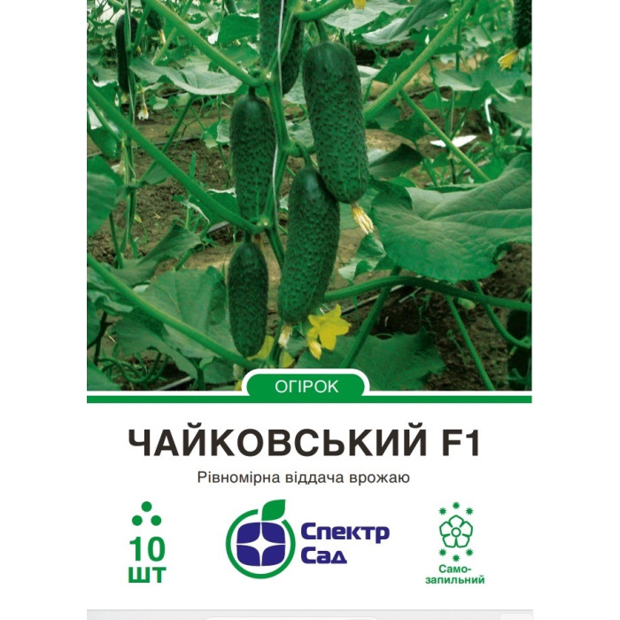 Огірок Чайковський F1 10 насінин СПЕКТР
